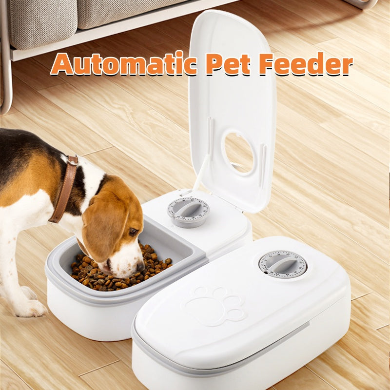 2-in-1 gravity pet food and water dispenser for cats and dogs