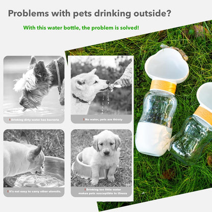 Dog drinking from PawGo portable water bottle bowl – leak-proof dog hydration on the go
