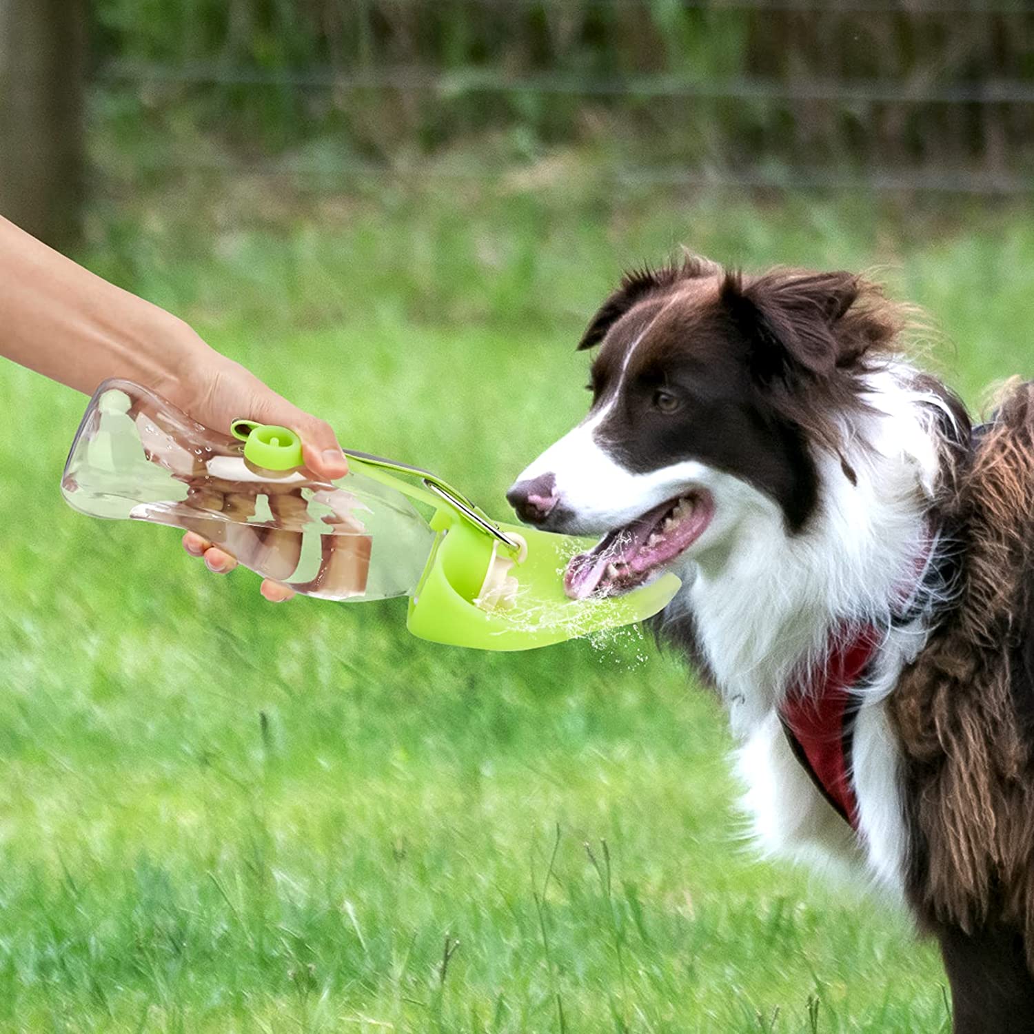 FlipSip portable pet water bottle in all five colours showing full product lineup for dogs and cats