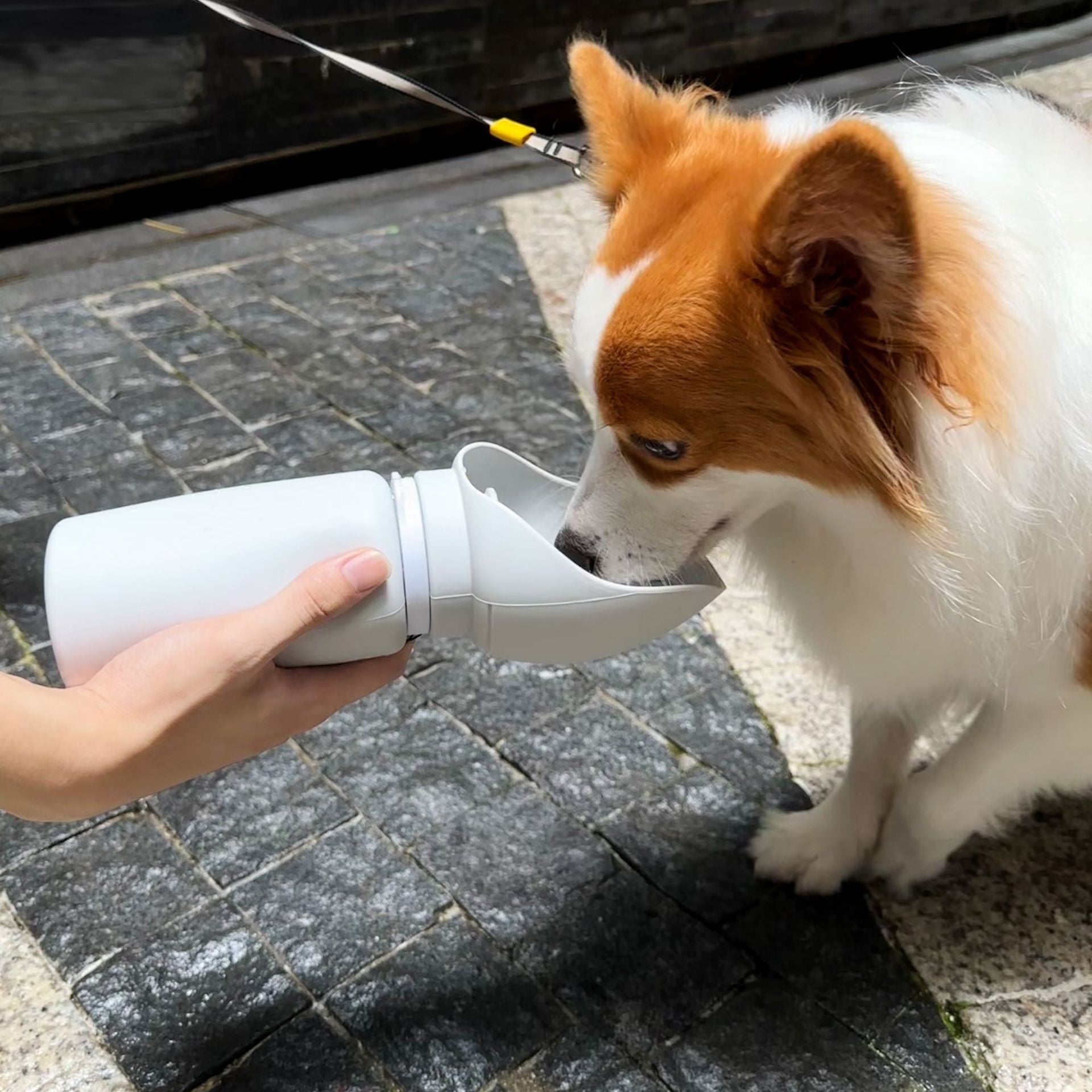 FoldSip foldable silicone dog water bottle in light gray – compact portable pet water bottle
