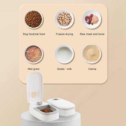 Gravity-fed water dispenser automatically refilling pet bowl