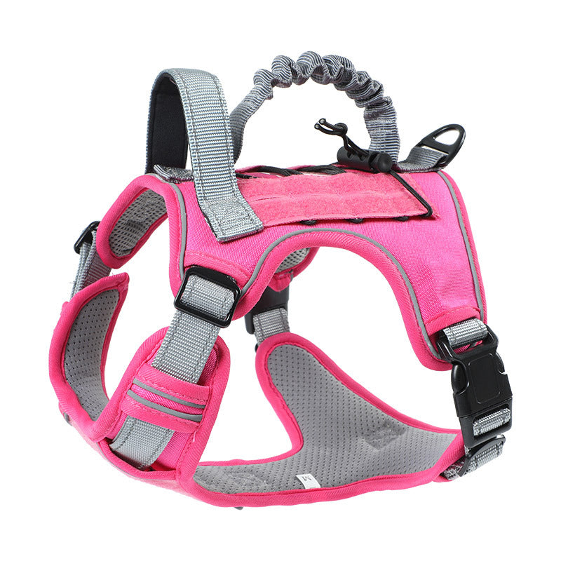 TactiPet harness on dog – no-pull chest design for calm walk control